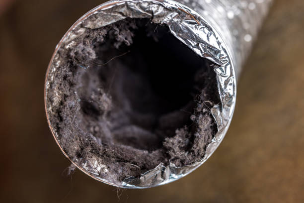 Best Affordable Duct Cleaning Services  in Fairhope, AL